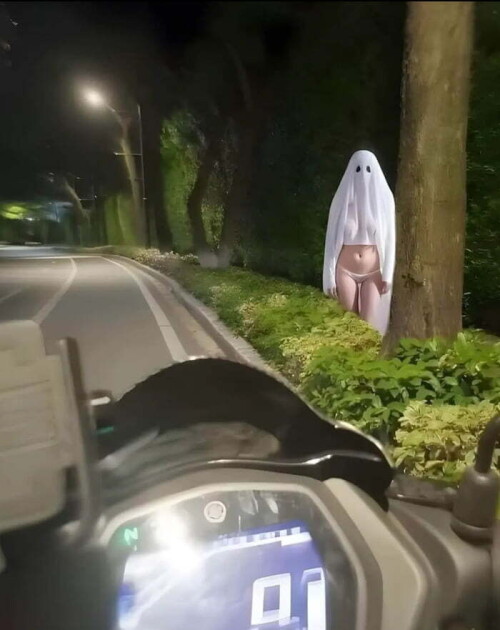 lvMoxx.jpeg