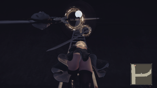 lymmc7.png