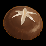 mDYoY0
