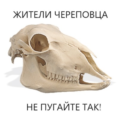 mSHeYD.jpeg