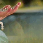 mmjhZ1.gif