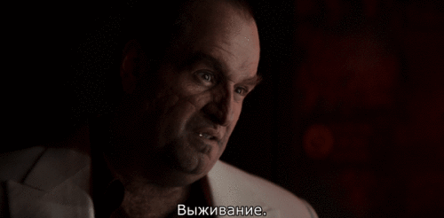 nLfdX0.gif