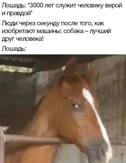 qJP0h5.jpeg