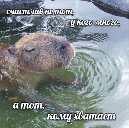 qrUSsM.jpeg