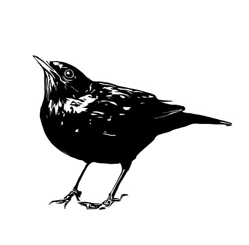 rGFrPv.png