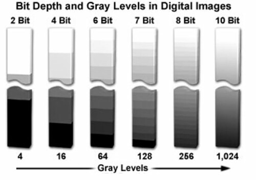 Originally retrieved from:  https://1vgg8k37ke1s2wbzd11b8i3o-wpengine.netdna-ssl.com/wp-content/uploads/BitDepthandGrayLevelsinDigitalImages.jpg