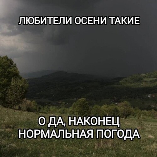 s3u29i.jpeg