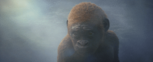 sOTCG0.gif