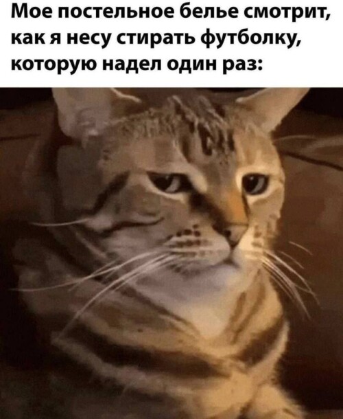 spVswH.jpeg