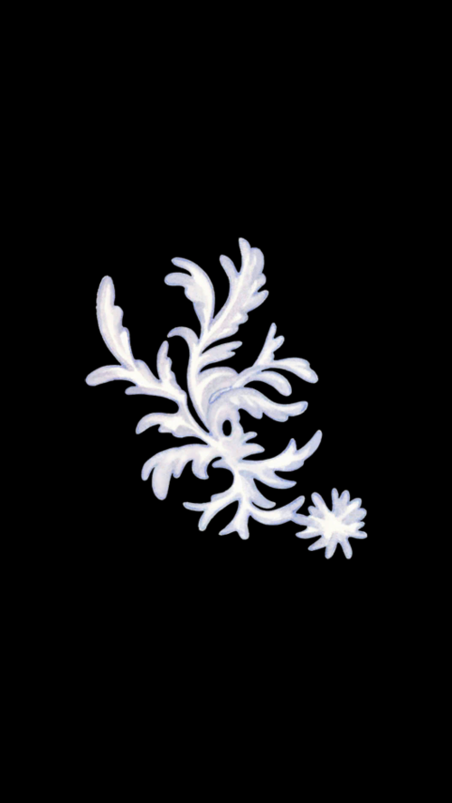 suGx4A