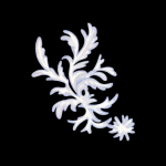 suGx4A