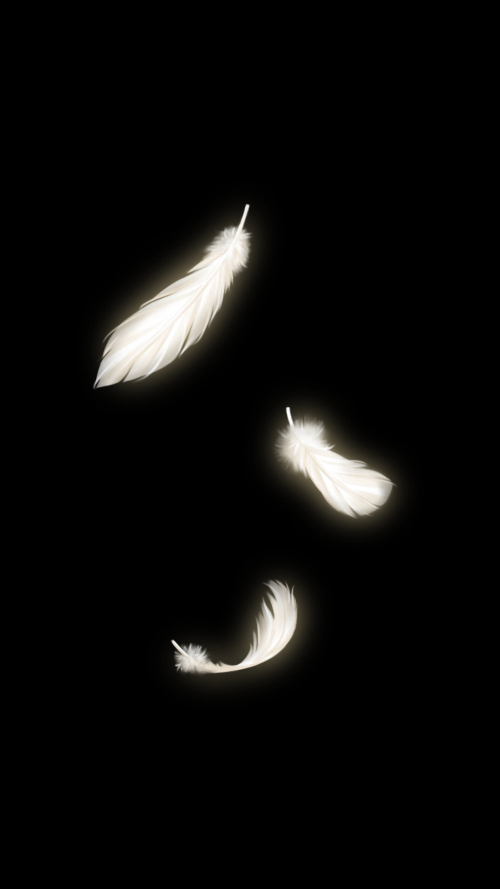 t3S3rc.png