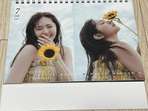 Airi Suzuki 865