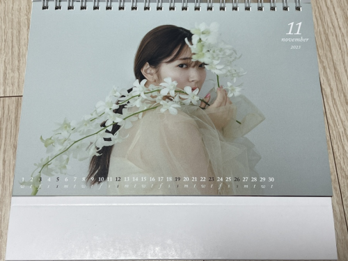 Airi Suzuki 871