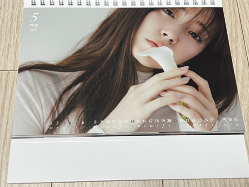 Airi Suzuki 863
