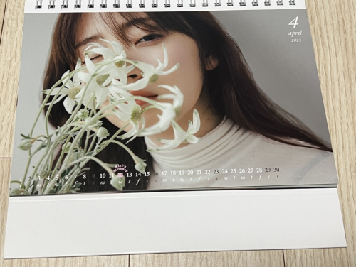 Airi Suzuki 861