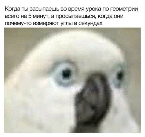 v8ySwF.jpeg