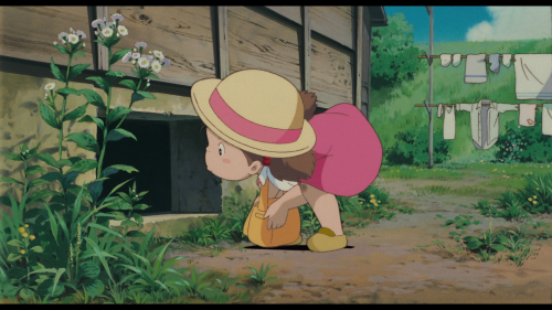 My Neighbor Totoro-3.png