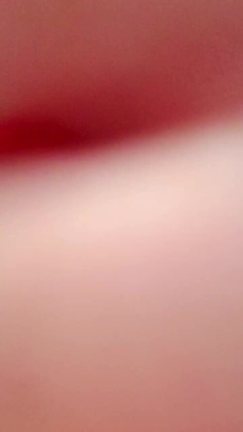 8Ic1sQmqLhzPqt9T