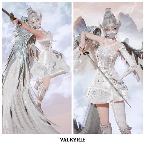 256 - Valkyrie