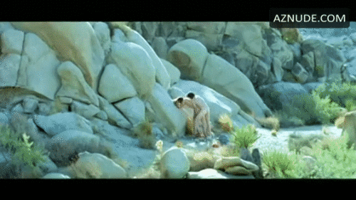 z7dE6e.gif