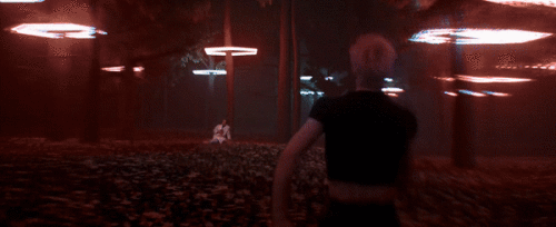 zGJc6F.gif
