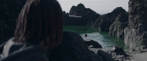 zGenub.gif