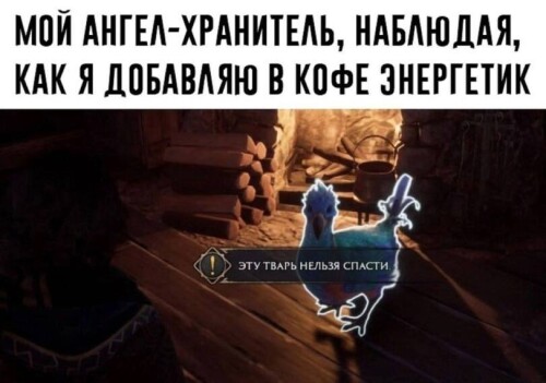 zLMNue.jpeg