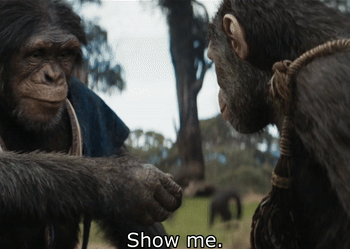 zaH7sb.gif