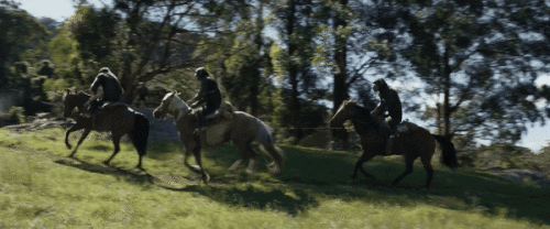 zaHB5v.gif