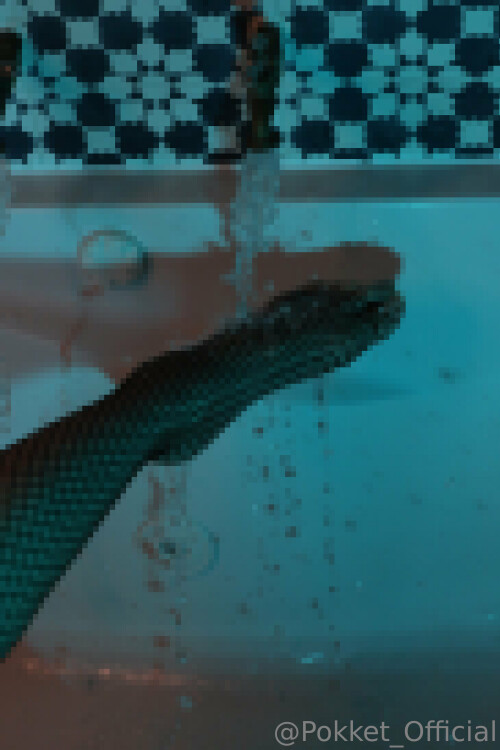 zsETck.jpeg